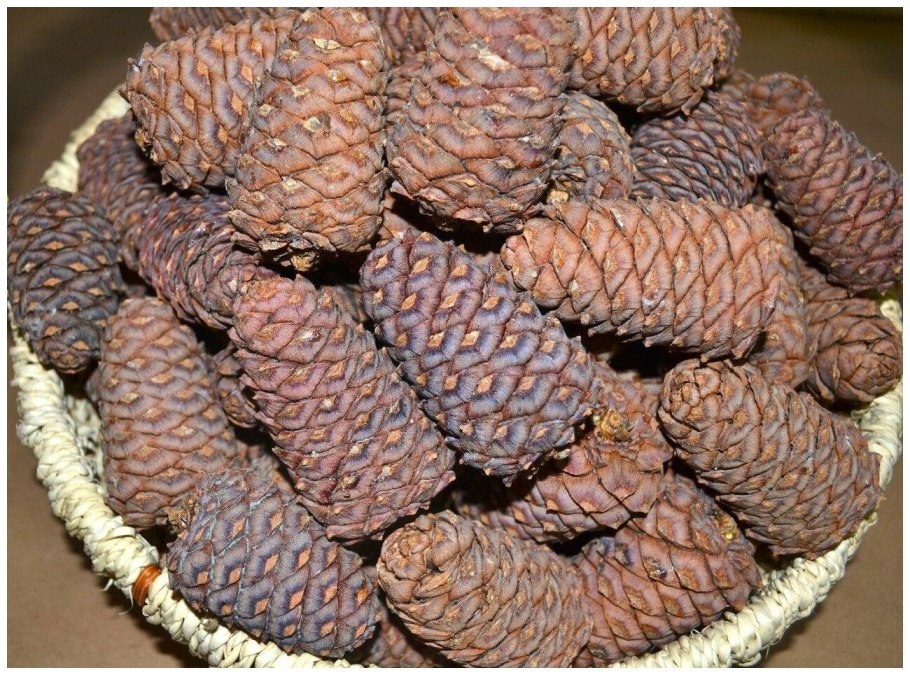 Макросъемка природные материалы