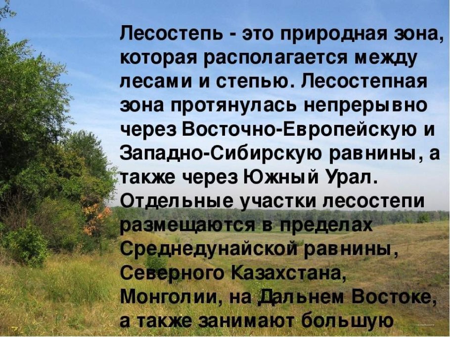 Даурский заповедник Даурский касатики