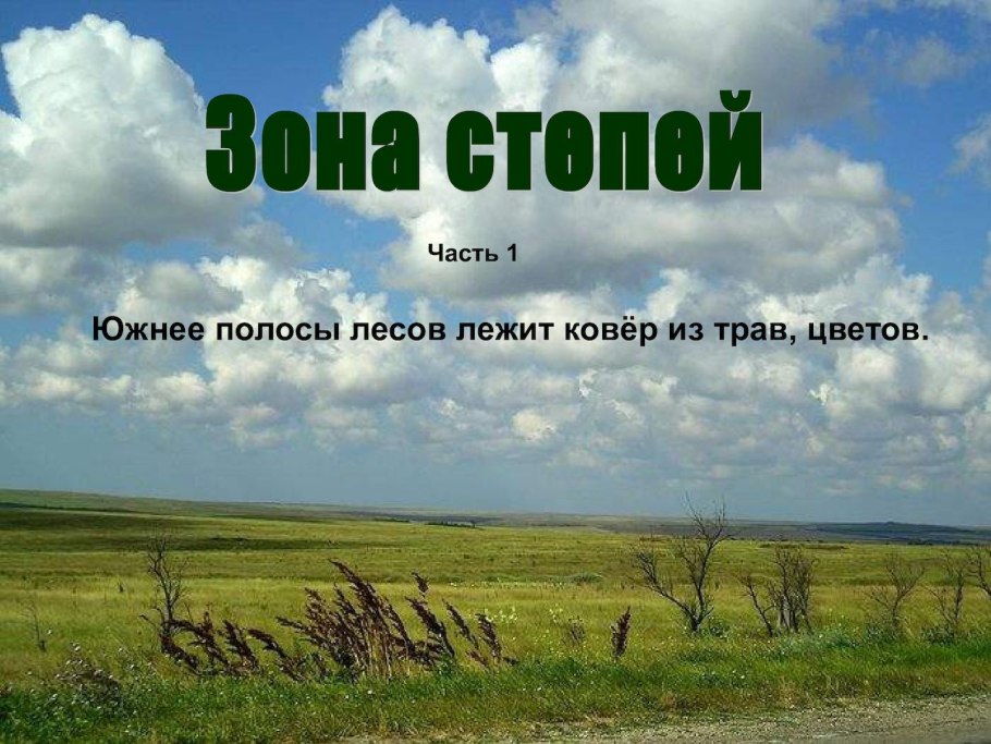 Почвы лесостепи и степи в России