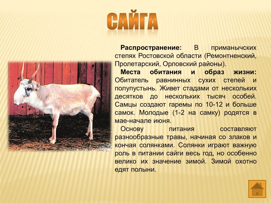 Таловская степь Оренбургской области