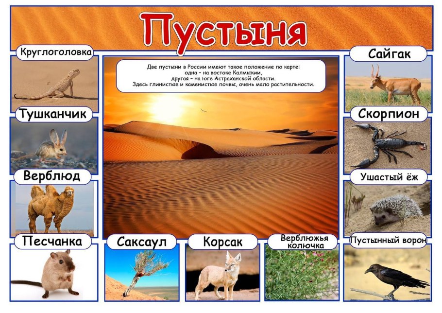 Болота Ростовской области