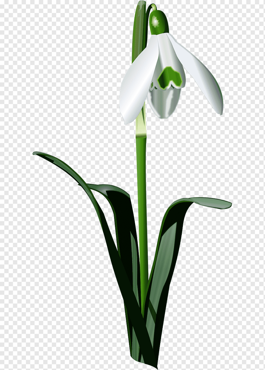 Палитра весны