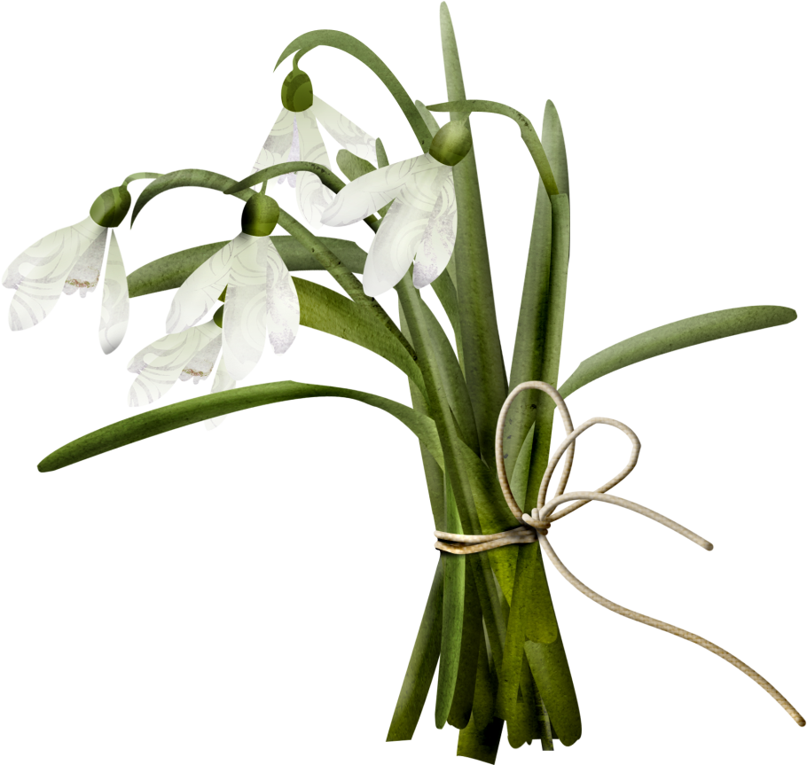 Подснежники для распечатки цветные