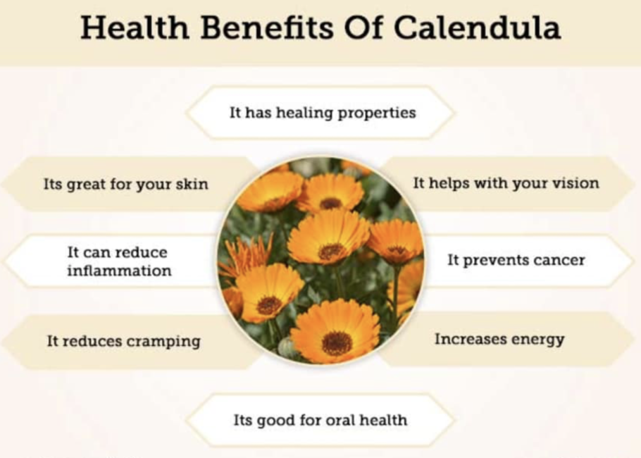 Шафран бархатцы высокие