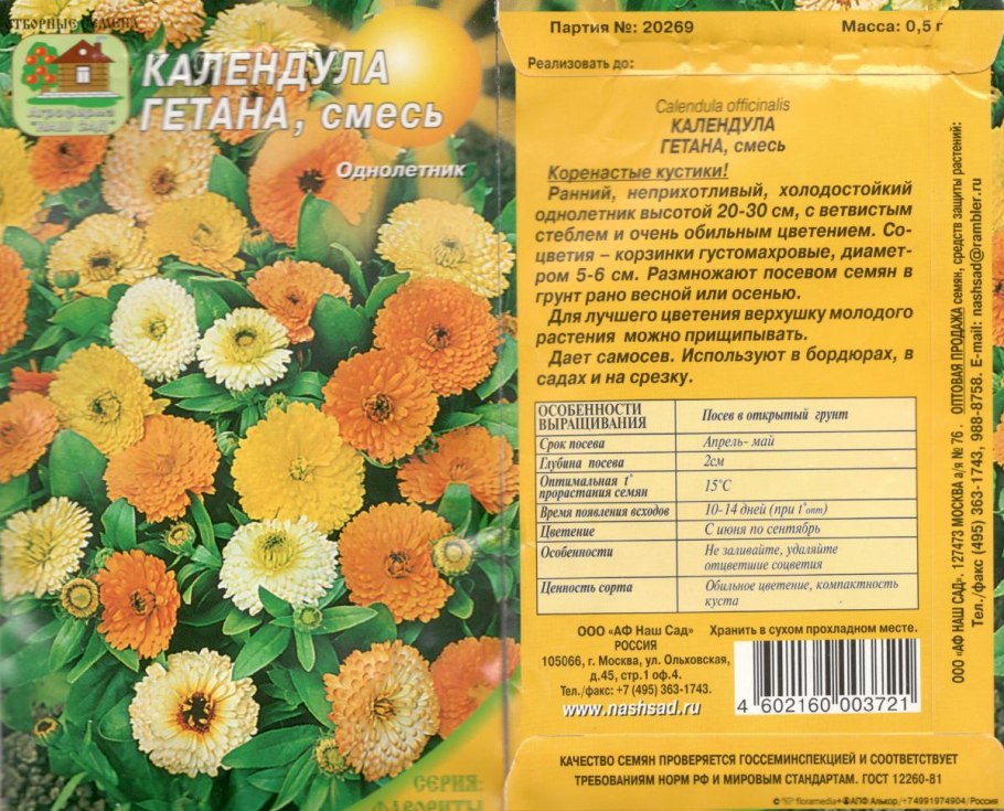 Календула Королевская