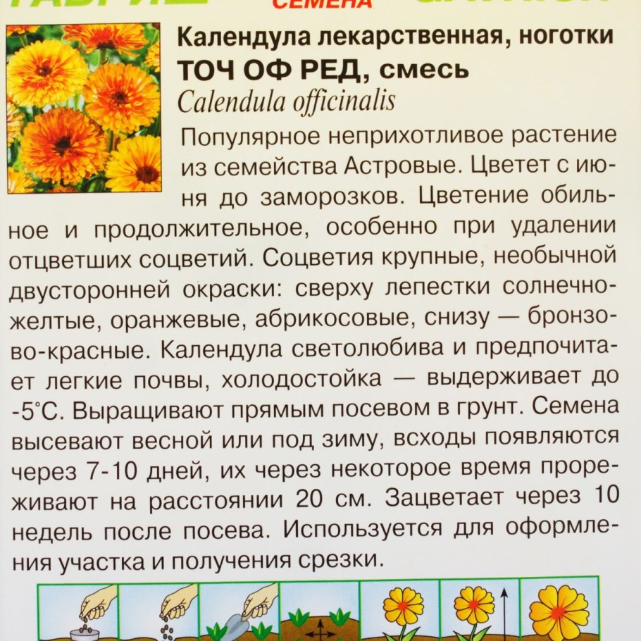 Календула махровая тач оф ред