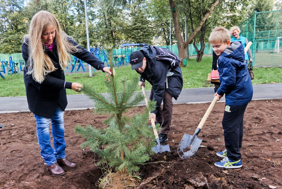 Прополка саженцев