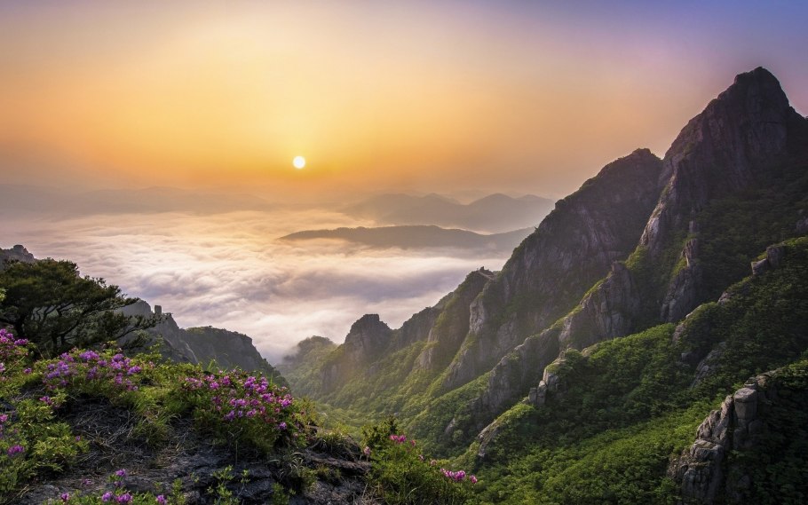 Южная Корея природа