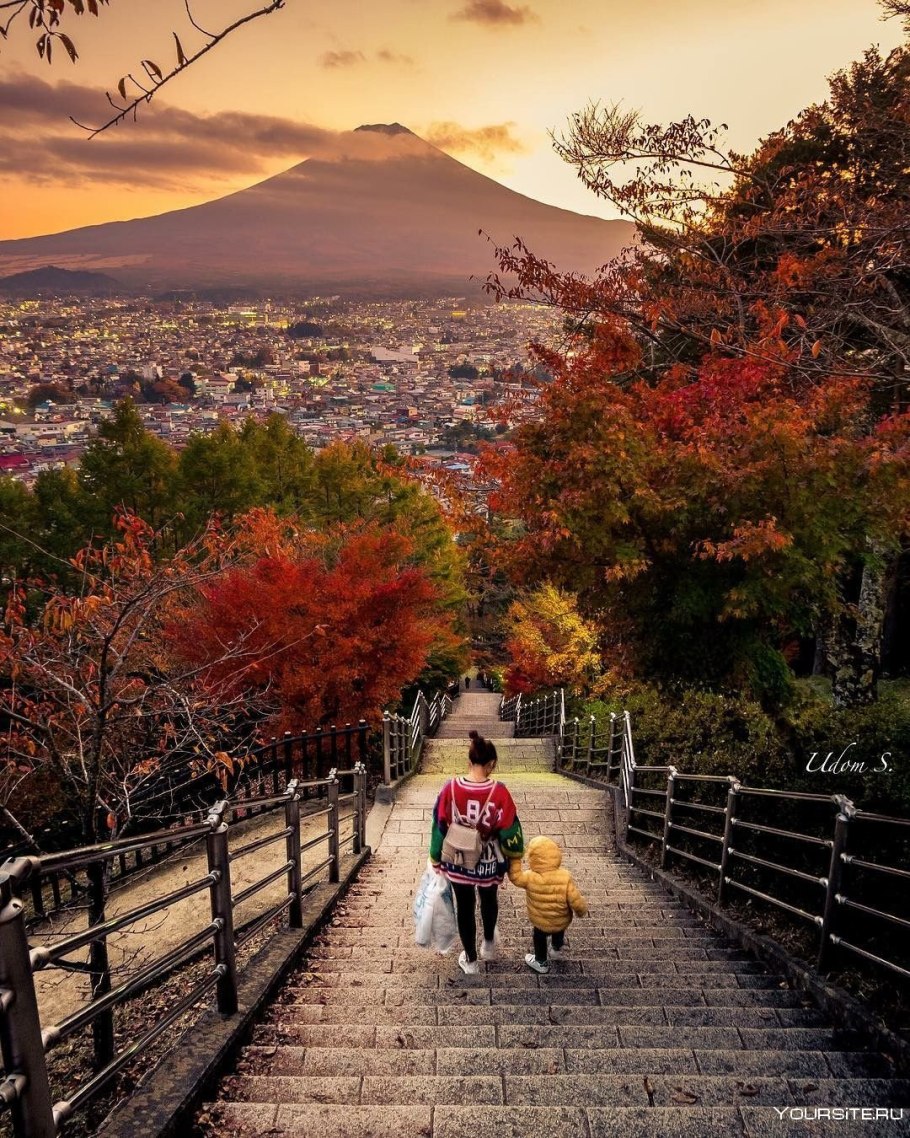 Киото Сакура