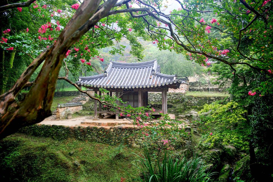 Сеул Южная Корея природа