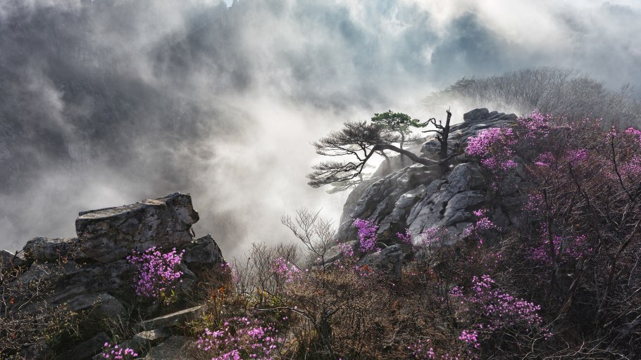 Южная Корея природа за спулом