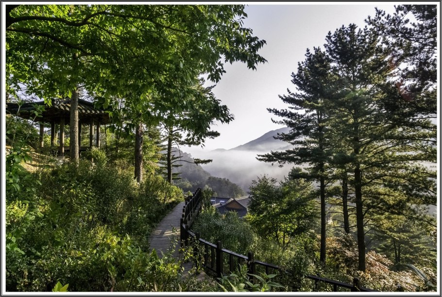 Южная Корея Страна утренней свежести