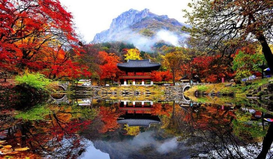 Дворец кёнбоккун с Сакуры весной, Южная Корея.