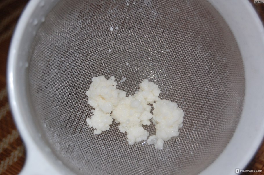 Кефирные зерна