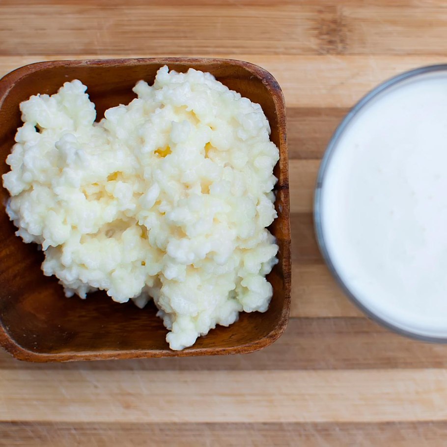 Гриб кефирный молочный