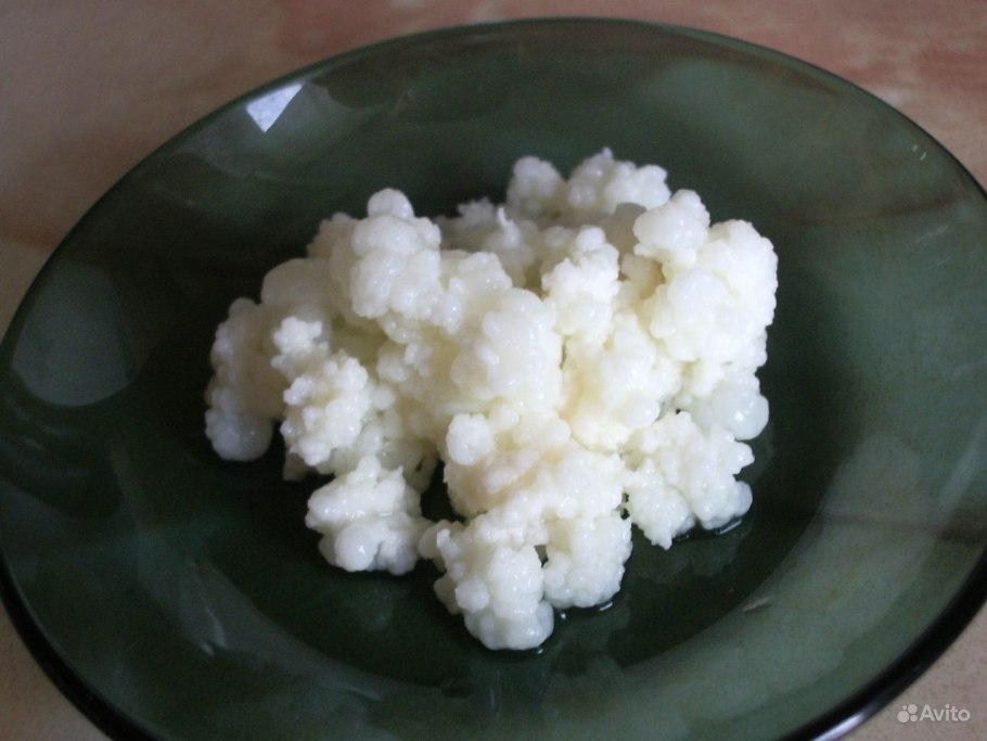 Кефирные грибки для детского питания