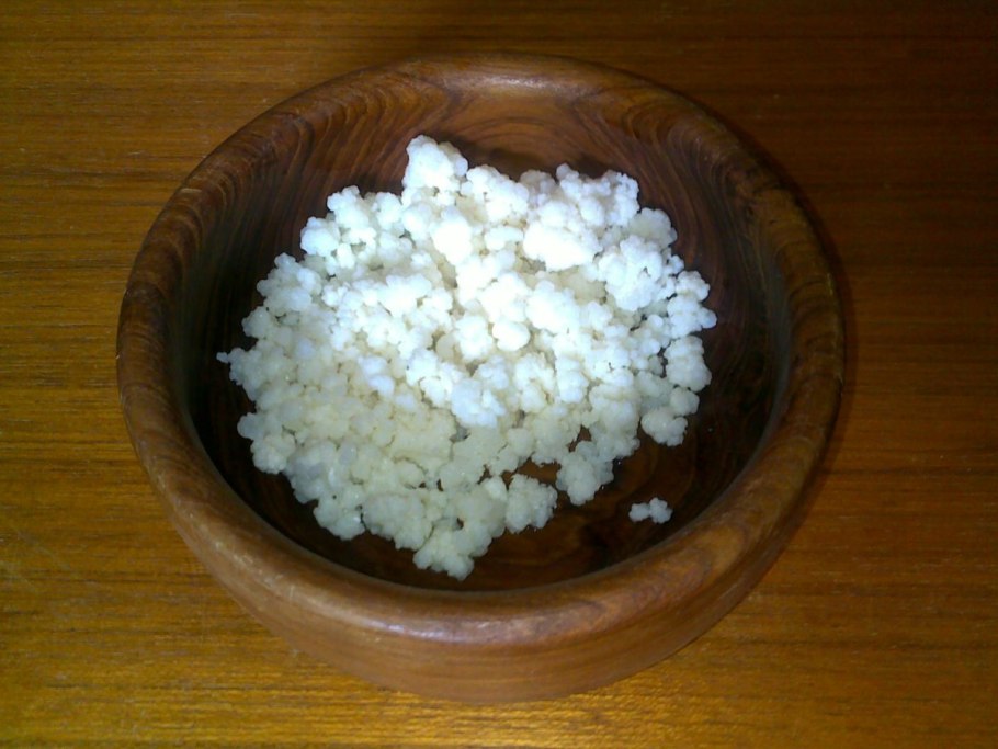 Тибетский гриб