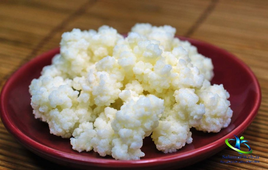 Тибетский молочный гриб