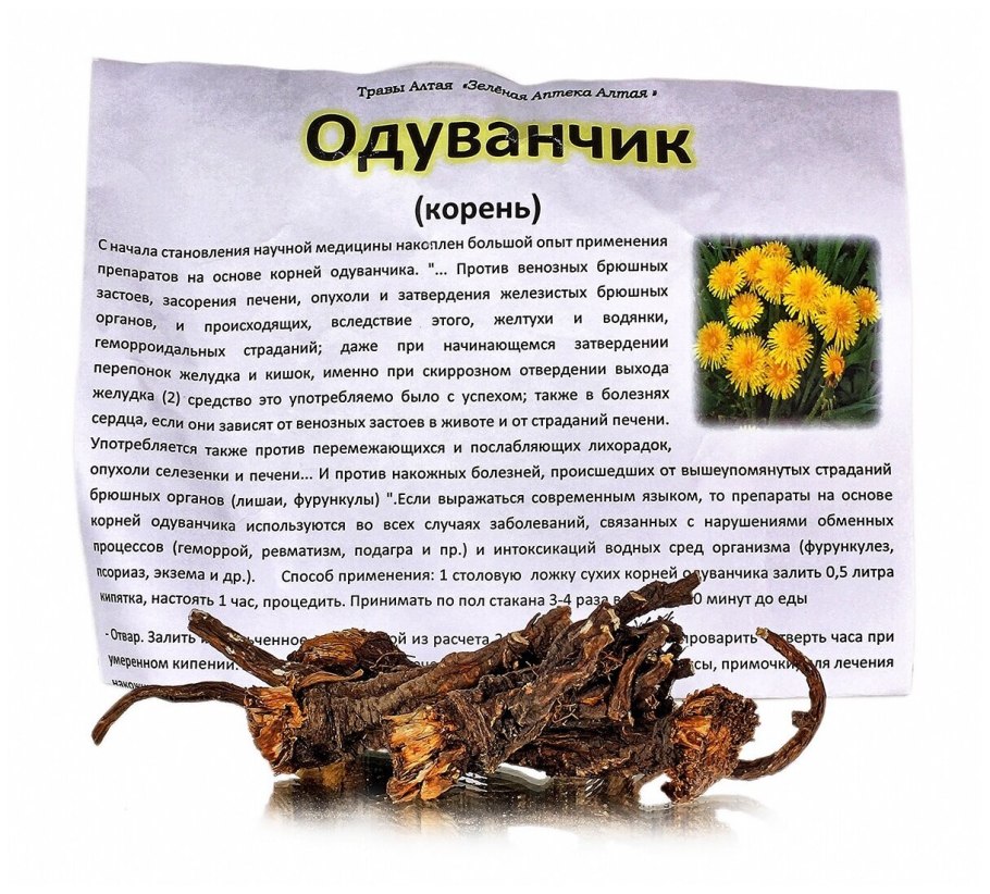 Строение корня одуванчика