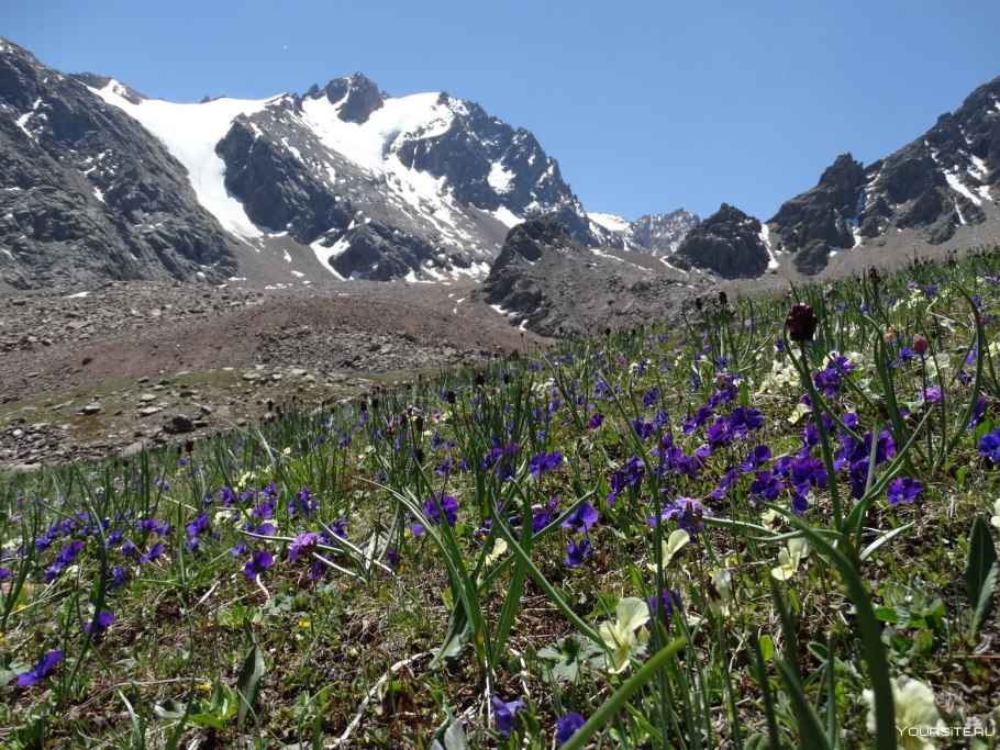 Снежный спуск с горы