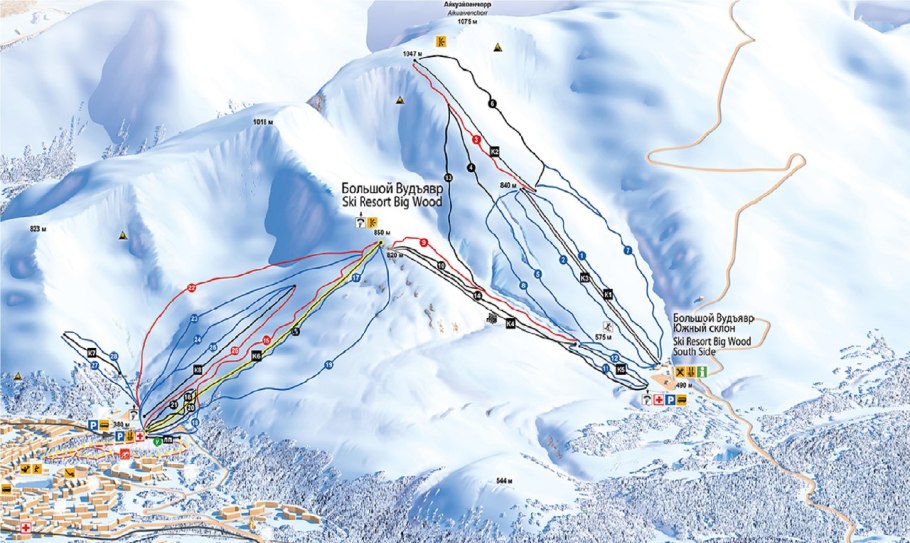 Флора высокогорья