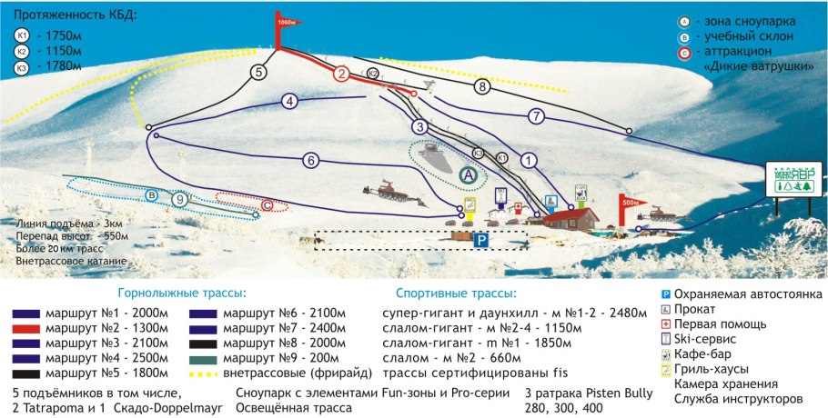 Пушица узколистная