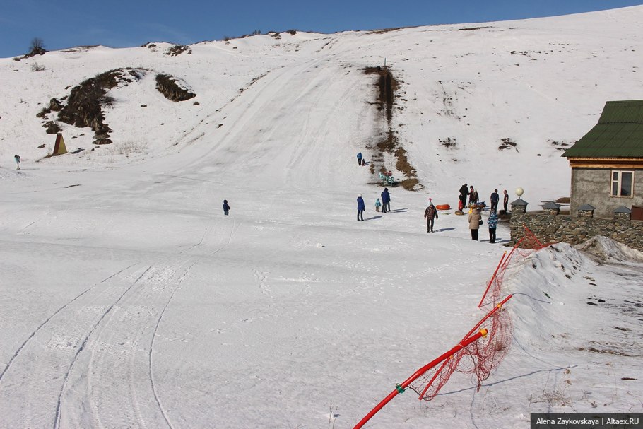 Пушица Болотная