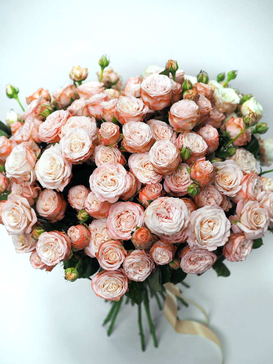 Роза Флорентина 2 в 1 Сибирские розы