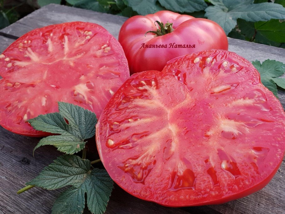 Томат сорта Бийская роза