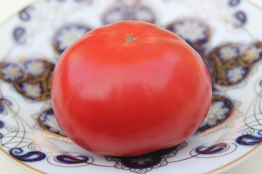 Томат Дикая роза