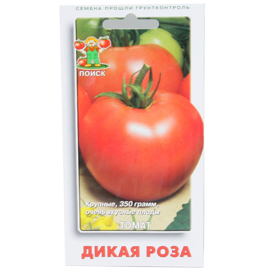 Сам растет томат семена