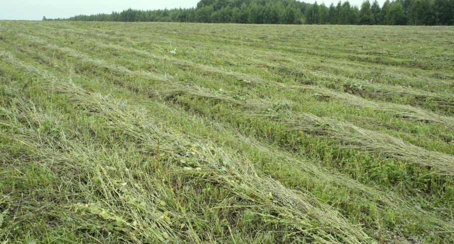 Материнская плата MSI 865gvm2-LS