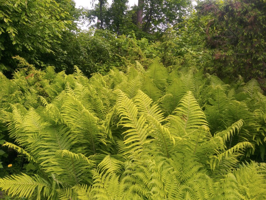 Вера Завадская Каниболоцкая Долинск Сахалин фото