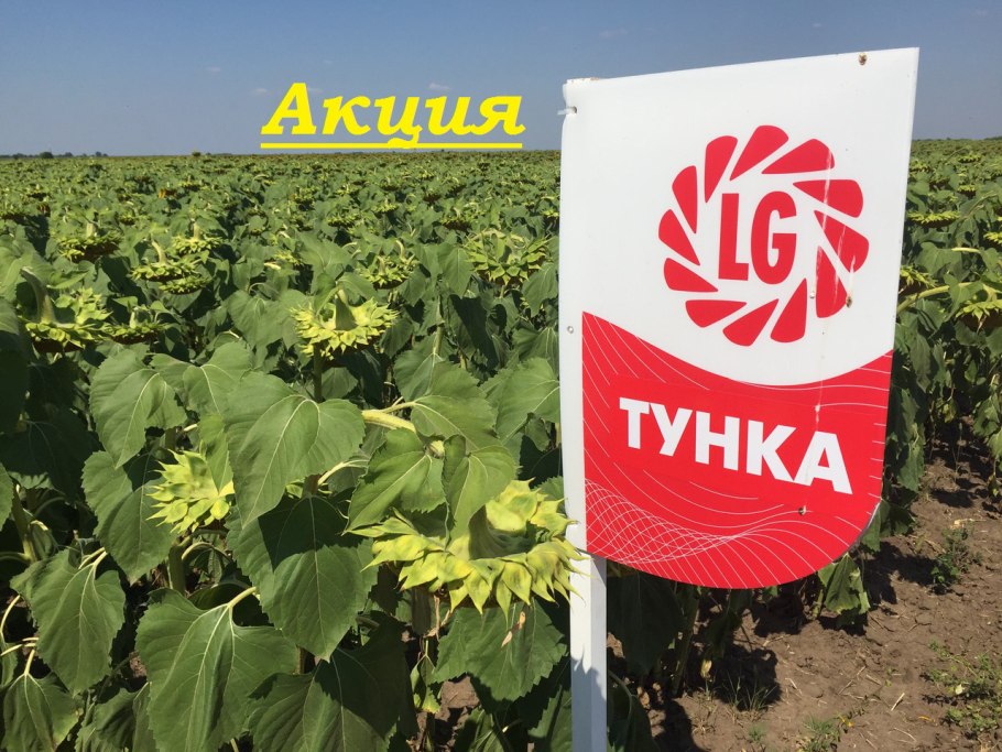 Тунка Лимагрейн