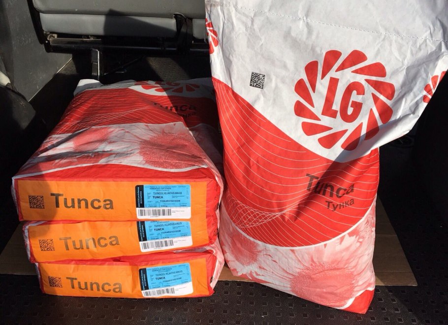 Гибрид подсолнечника Хадсон ЕС