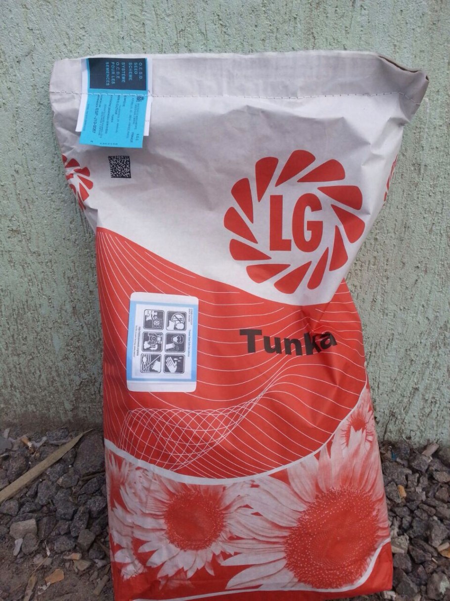 Гибрид подсолнечника Лимагрейн 5542