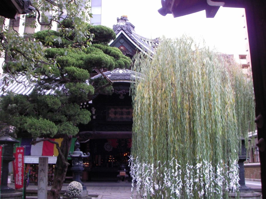 Японская Ива Хакуро нишики