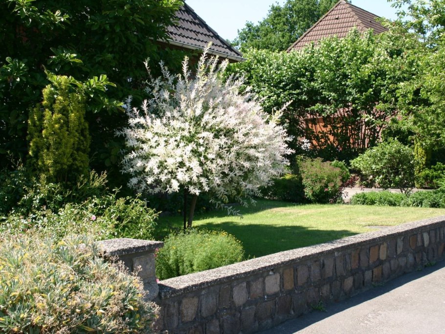 Ива Хакуро нишики