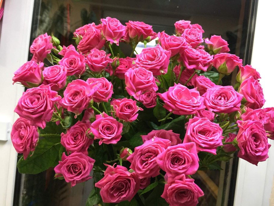 Роза куст Лавли Лидия