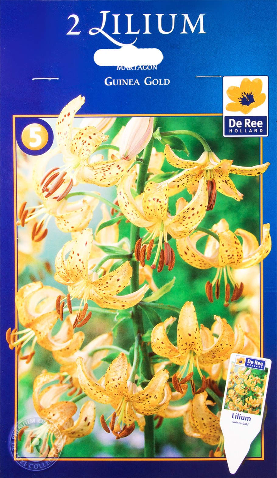 Лилия мартагон хамелеон