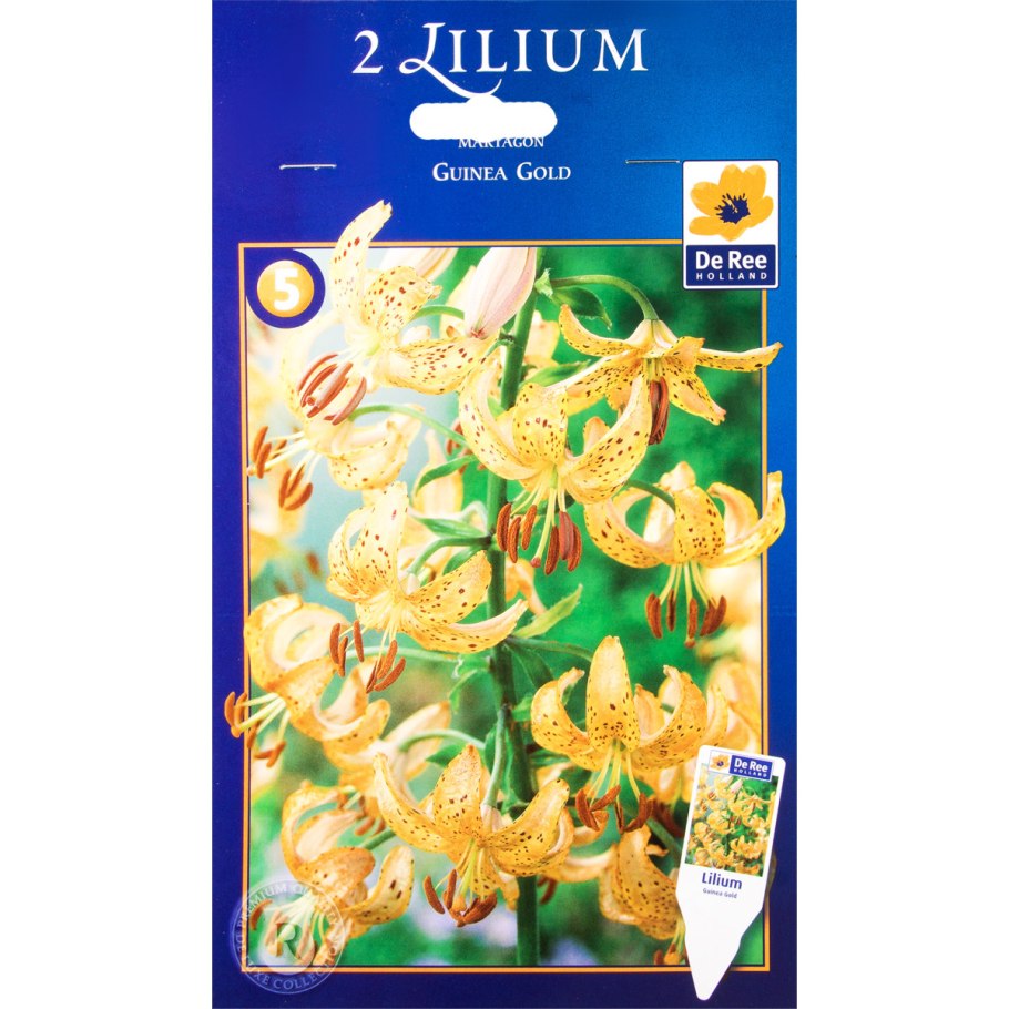 Мартагон гибриды лилии