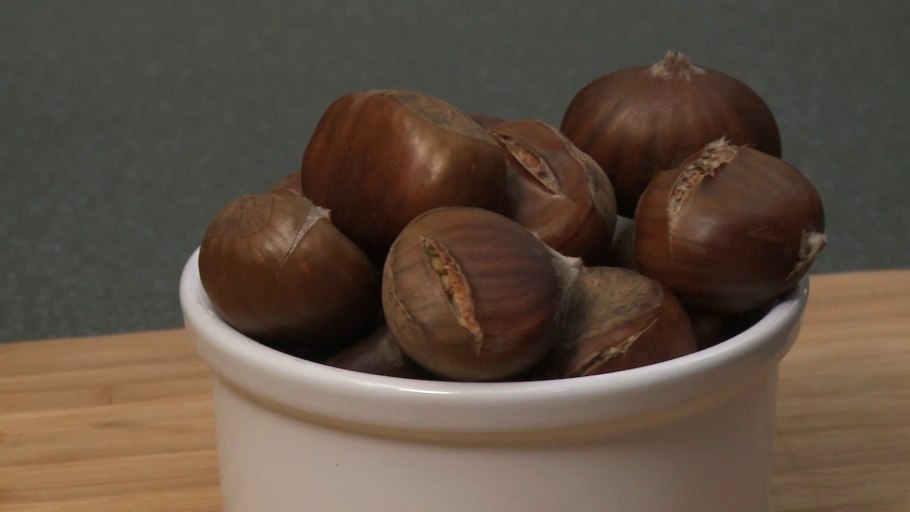 Конский каштан Росток