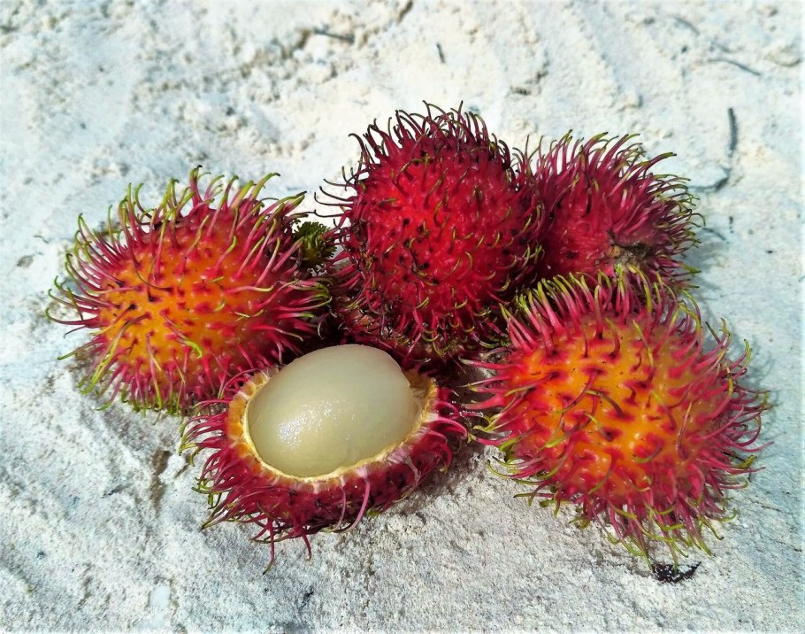 Рамбутан фрукт Мексика