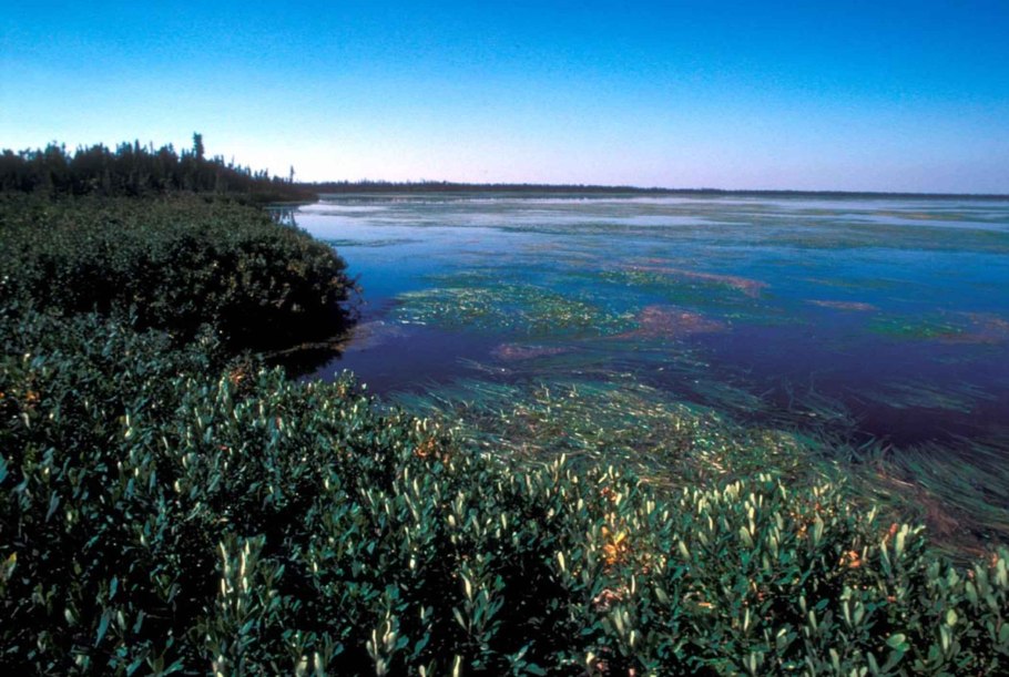 Климат Ханского озера