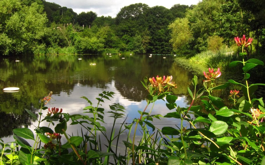 Пейзажный Луговой парк Германия озеро
