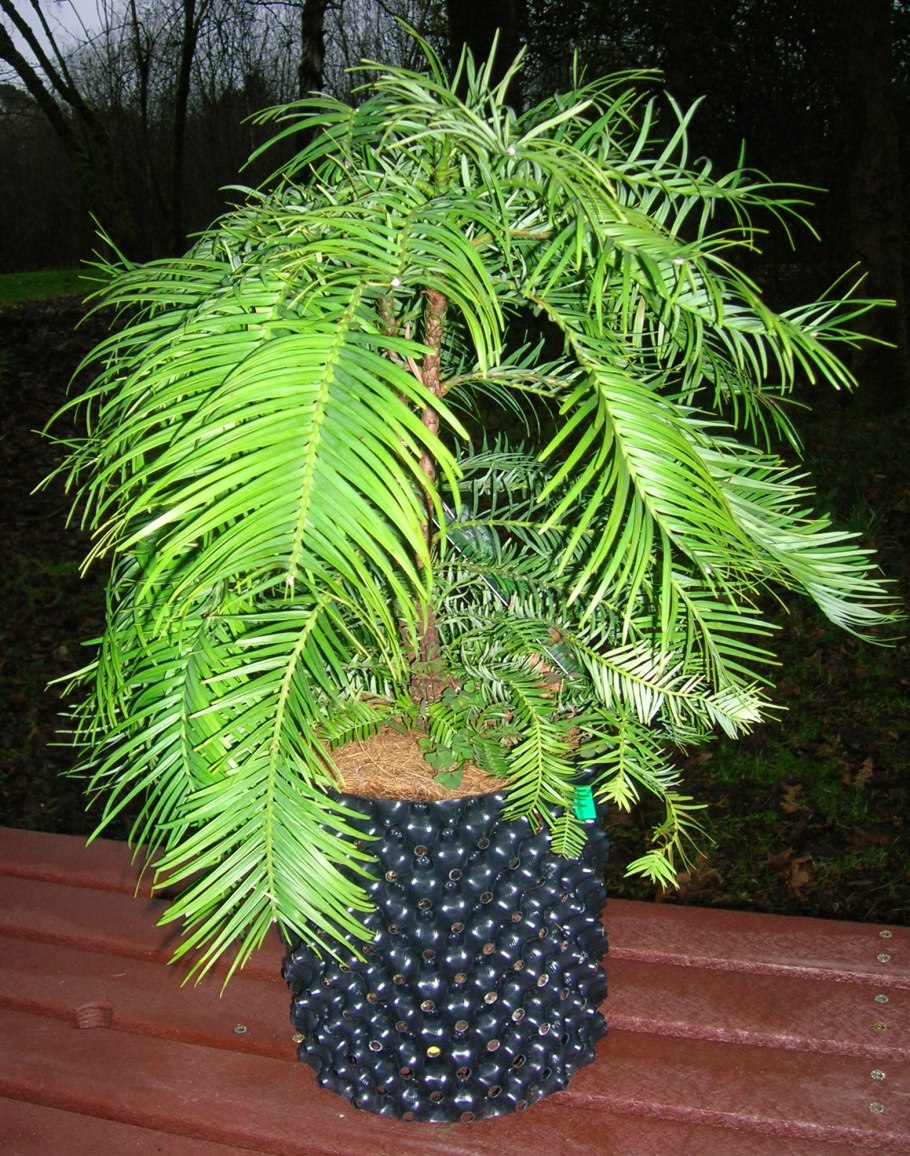 Виды волемий