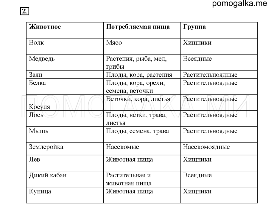 Росянка мухоловка