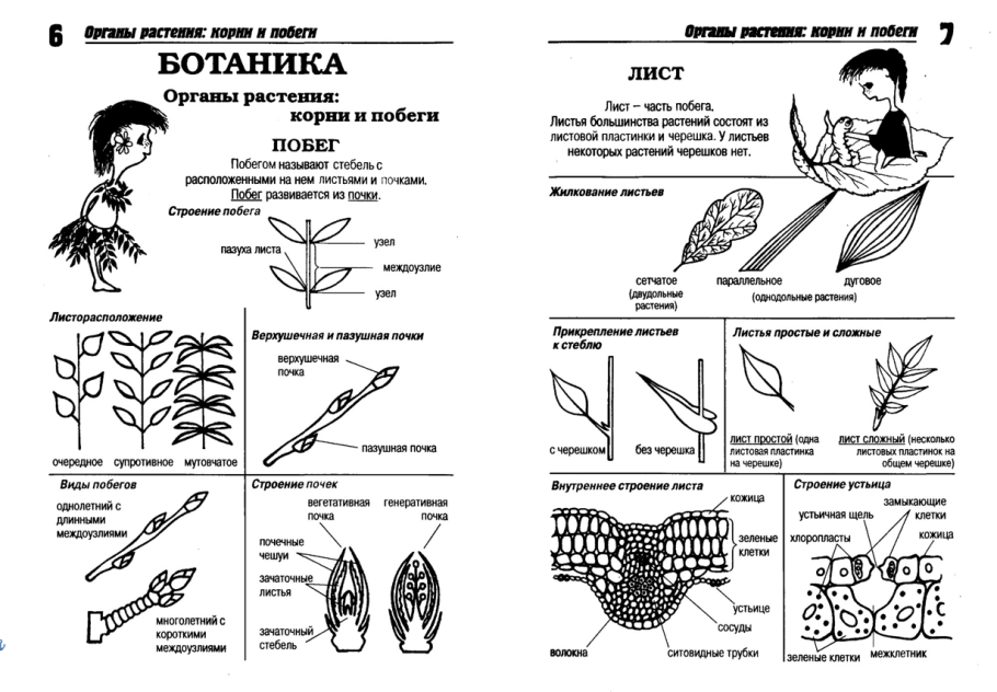 Нехватка элементов у аквариумных растений