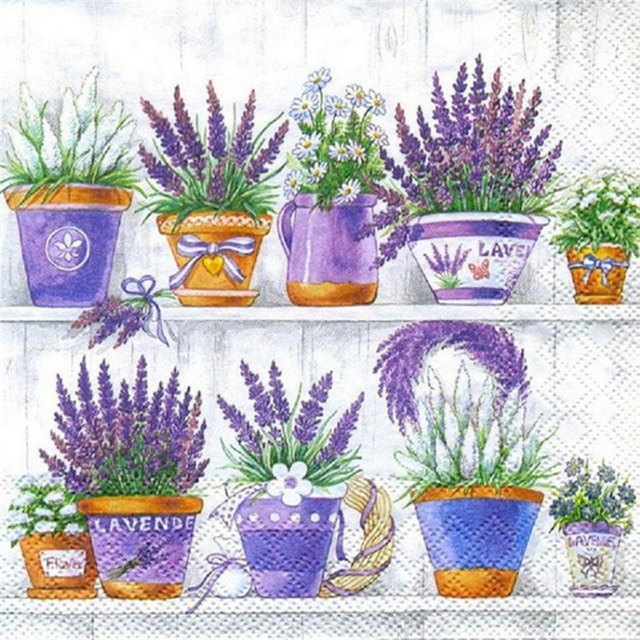 Оланта лавандовый Прованс