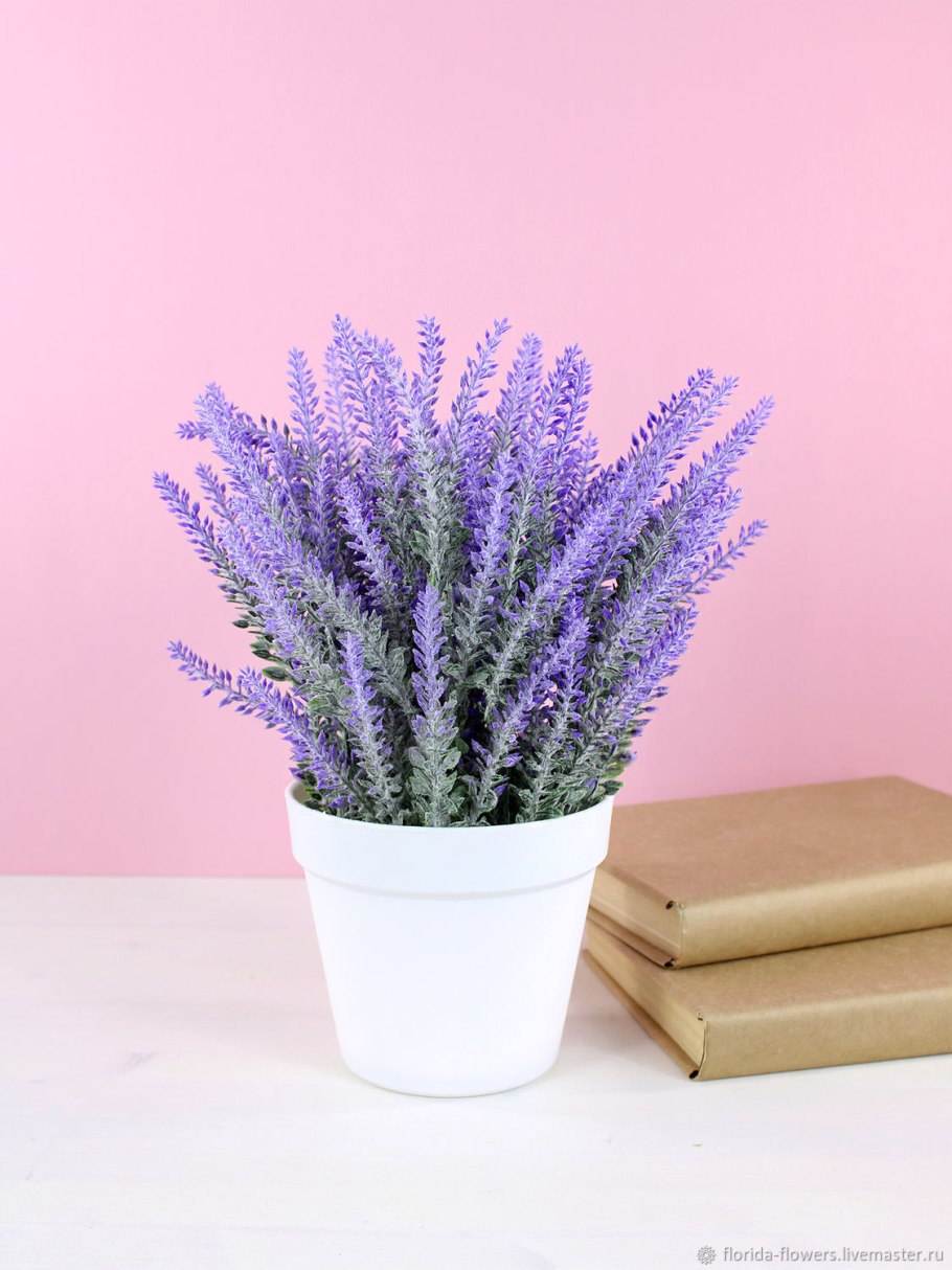 Mezzo Лаванда